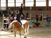 voltitag 2009 _CD1 150